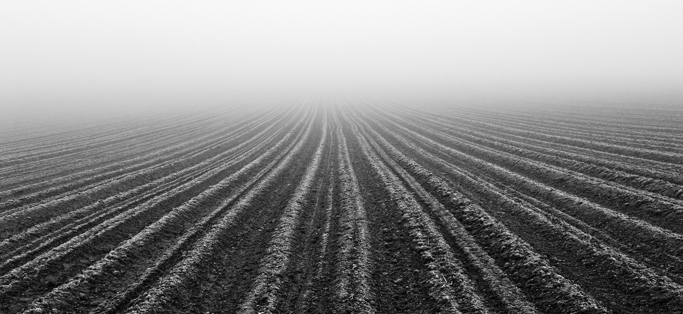 aspiration-paysage lauragais