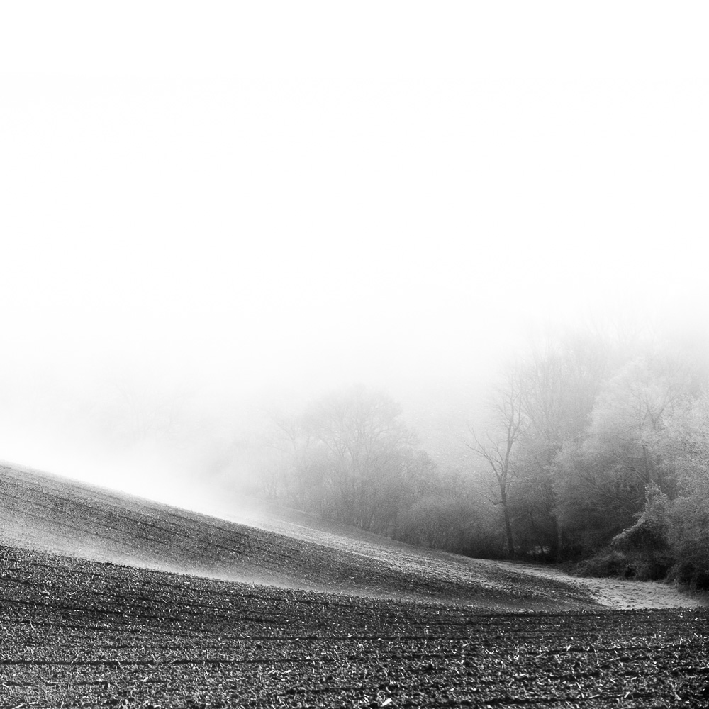 le chemein de la dissimulation-lauragais