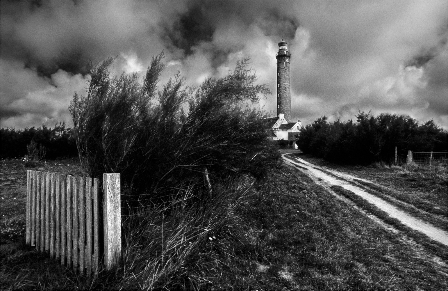 le grand phare-Goulphar