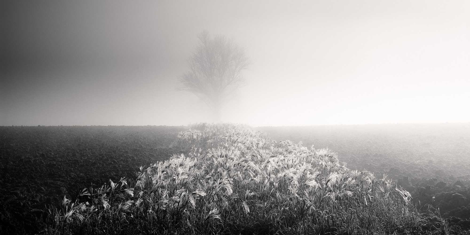 un bout de lumière-lauragais